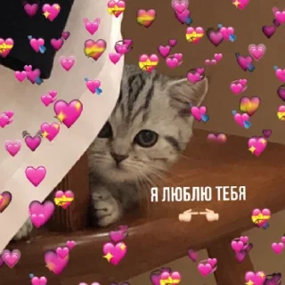 Sticker from Я дед инсайд