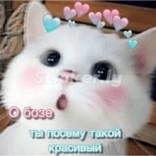 🌟 emoji На все случаи жизни Telegram sticker 11 of 28
