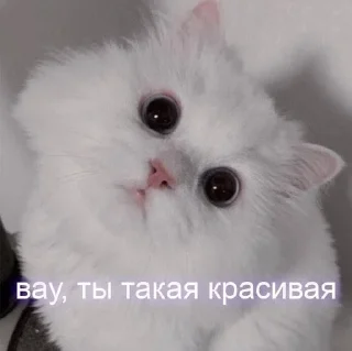 🌟 emoji На все случаи жизни Telegram sticker 10 of 28