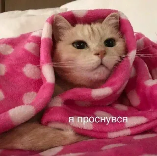 🌟 emoji На все случаи жизни Telegram sticker 15 of 28