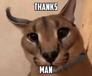 🌟 emoji уШлепок Telegram sticker 17 of 50