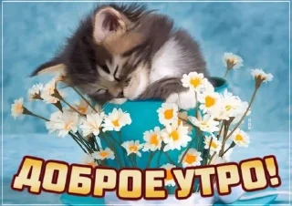 🌟 emoji чоо Telegram sticker 10 of 78