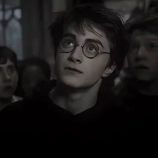 🤩 emoji Harry Potter @sasweirdo @MoiStikiBot Telegram sticker 23 of 43