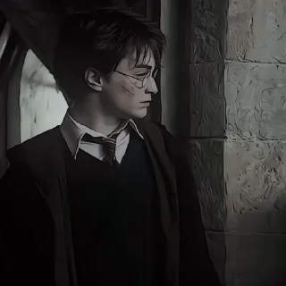 🤩 emoji Harry Potter @sasweirdo @MoiStikiBot Telegram sticker 6 of 43