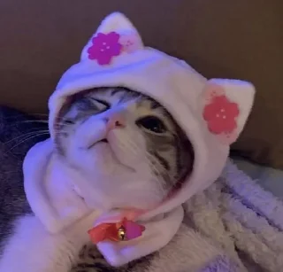 🐈 emoji кэты от ёжпы @imyozhik Telegram sticker 12 of 56