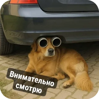 👍 emoji Моменто Telegram sticker 10 of 10