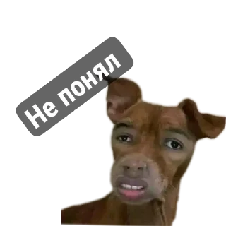 👄 emoji Моменто Telegram sticker 6 of 10