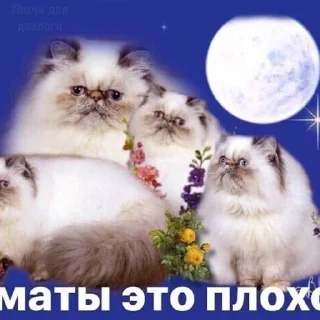 Sticker from очкошки