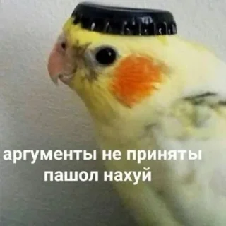 💗 emoji наркотики это круто! Telegram sticker 13 of 37