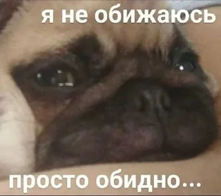 🌟 emoji Для важных переговоров Telegram sticker 16 of 91