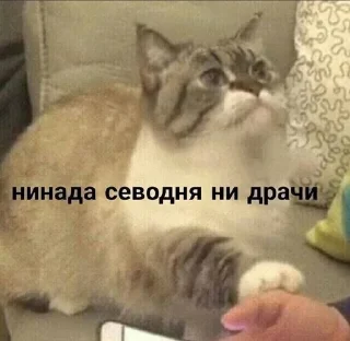 🌟 emoji Для важных переговоров Telegram sticker 19 of 91