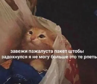 🌟 emoji На случай важных переговоров Telegram sticker 7 of 117