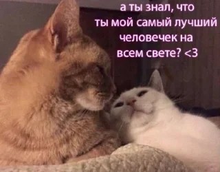 🌟 emoji для любимых!! <3 Telegram sticker 13 of 50