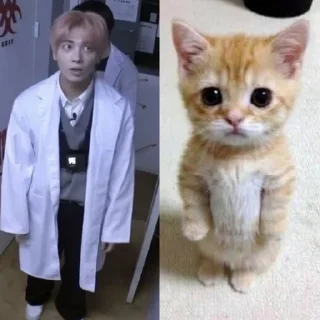 🐈‍⬛ emoji な || TAEHYUN – @GRi3Fd ！⸼ Telegram sticker 19 of 40