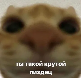 😚 emoji мемы на все случаи жизни Telegram sticker 12 of 32