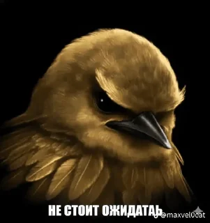 🐦 emoji Вряд-ли Telegram sticker 22 of 120