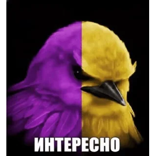 🐦 emoji Вряд-ли Telegram sticker 10 of 120