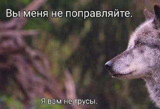 🌟 emoji Смысл жызни мэмы мэмы Telegram sticker 12 of 120