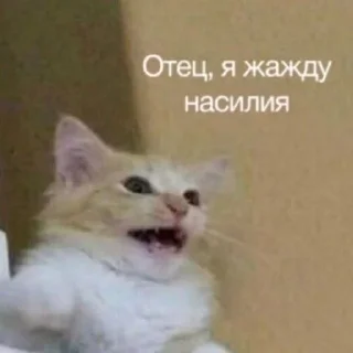 🌟 emoji Смысл жызни мэмы мэмы Telegram sticker 17 of 120
