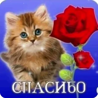 🌟 emoji Открыточки Telegram sticker 5 of 26