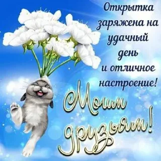 🤍 emoji Открытки бабушки Вари Telegram sticker 23 of 118