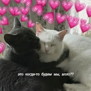❤️ emoji я котик ты котик Telegram sticker 13 of 65