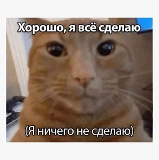 😁 emoji Мемы Telegram sticker 24 of 84