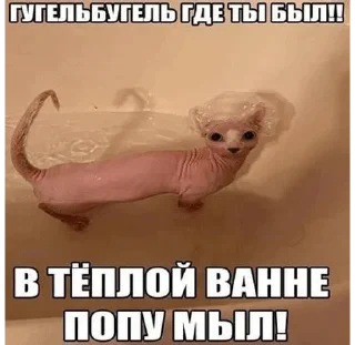 ☺️ emoji Мемы Telegram sticker 10 of 84