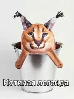 🏆 emoji Блоптопчик от  @PRO_13Yudin Telegram sticker 18 of 19