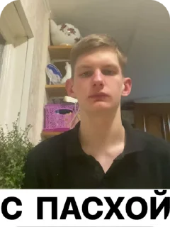 🥚 emoji Я и санечка Telegram sticker 20 of 23