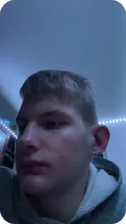 🤨 emoji Я и санечка Telegram sticker 10 of 23