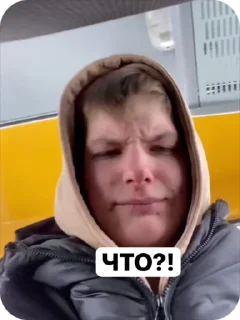 🎄 emoji Я и санечка Telegram sticker 18 of 23