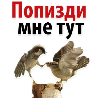 😈 emoji Любимые Telegram sticker 11 of 49
