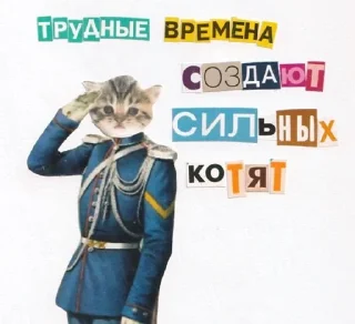 🐈 emoji Чего? Telegram sticker 15 of 62