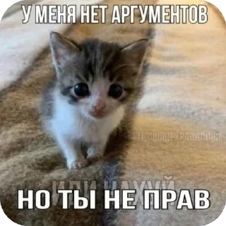 🫥 emoji Кеты мемы Telegram sticker 12 of 30