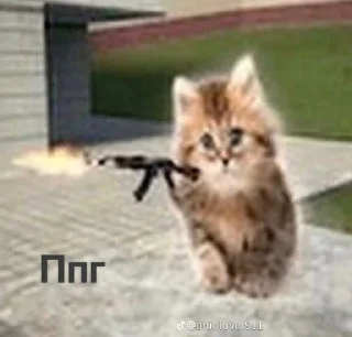 🔫 emoji ❤️Котеечки-Ван-Лав❤️ Telegram sticker 16 of 47