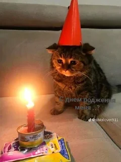 Sticker from ❤️Котеечки-Ван-Лав❤️