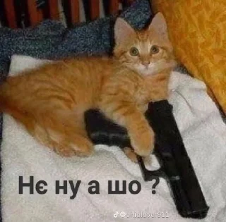 ❔ emoji ❤️Котеечки-Ван-Лав❤️ Telegram sticker 9 of 47
