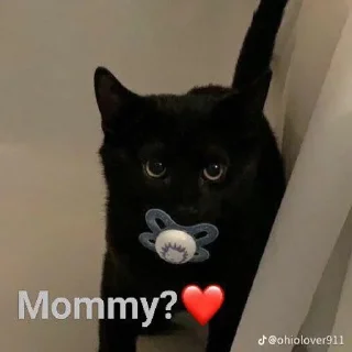 🥵 emoji ❤️Котеечки-Ван-Лав❤️ Telegram sticker 23 of 47