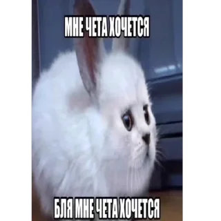 🫥 emoji от алиши 2 Telegram sticker 20 of 31