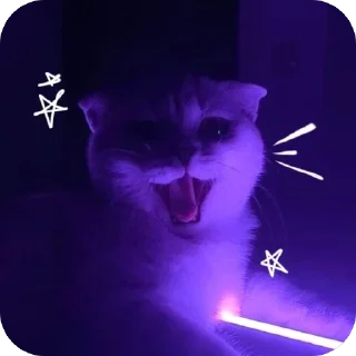 🫥 emoji ˚✧₊⁎мазеллов @miitsski Telegram sticker 5 of 92