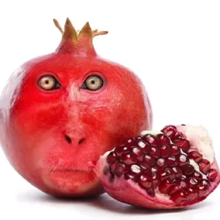 👍 emoji Одаааа мемолоджи🍄 Telegram sticker 19 of 30