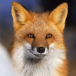 😏 emoji Пак Семпая Telegram sticker 18 of 110