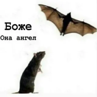 ❤ emoji пинтерест для души Telegram sticker 24 of 61