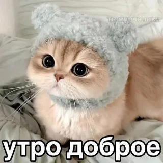 🌟 emoji убийственные котята Telegram sticker 24 of 51