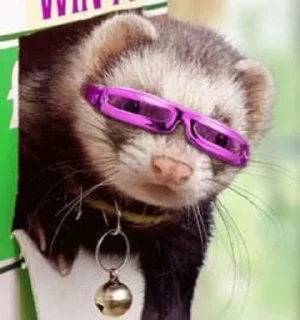 😎 emoji Корпорация Telegram sticker 22 of 49
