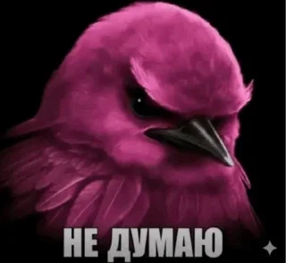 🌟 emoji Вряд-ли Telegram sticker 18 of 112