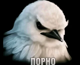 🌟 emoji Вряд-ли Telegram sticker 17 of 112