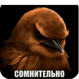 🌟 emoji Птицы сомнения @joziesittv Telegram sticker 23 of 120