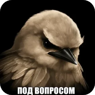 🐦 emoji вряд-ли😾 Telegram sticker 5 of 114